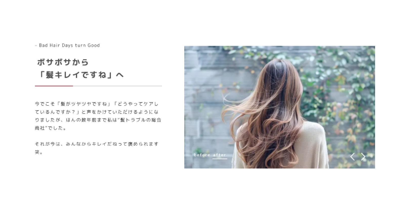 cocoon デモサイト MetaSlider