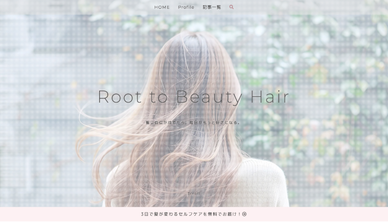 cocoon デモサイト 通知エリア